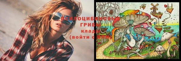 прущие грибы Алексин