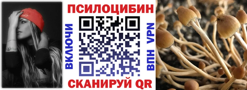 Купить закладки  Киров  Галлюциногенные грибы MAGIC MUSHROOMS 